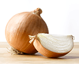 Cebolla